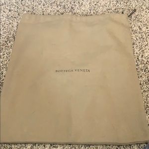 Bottega Veneta bag sleeve